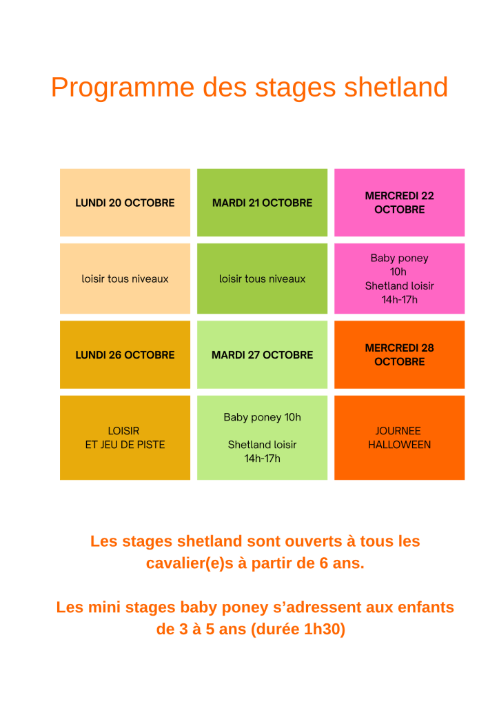 Programme des stages shetland avec des dates, activités et précisions sur les niveaux.